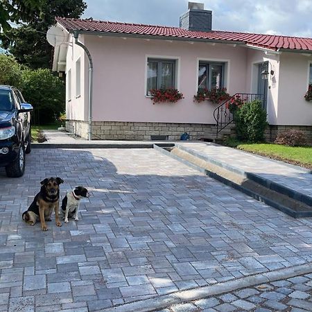 Haus Marianne Apartment Ettersburg Екстериор снимка